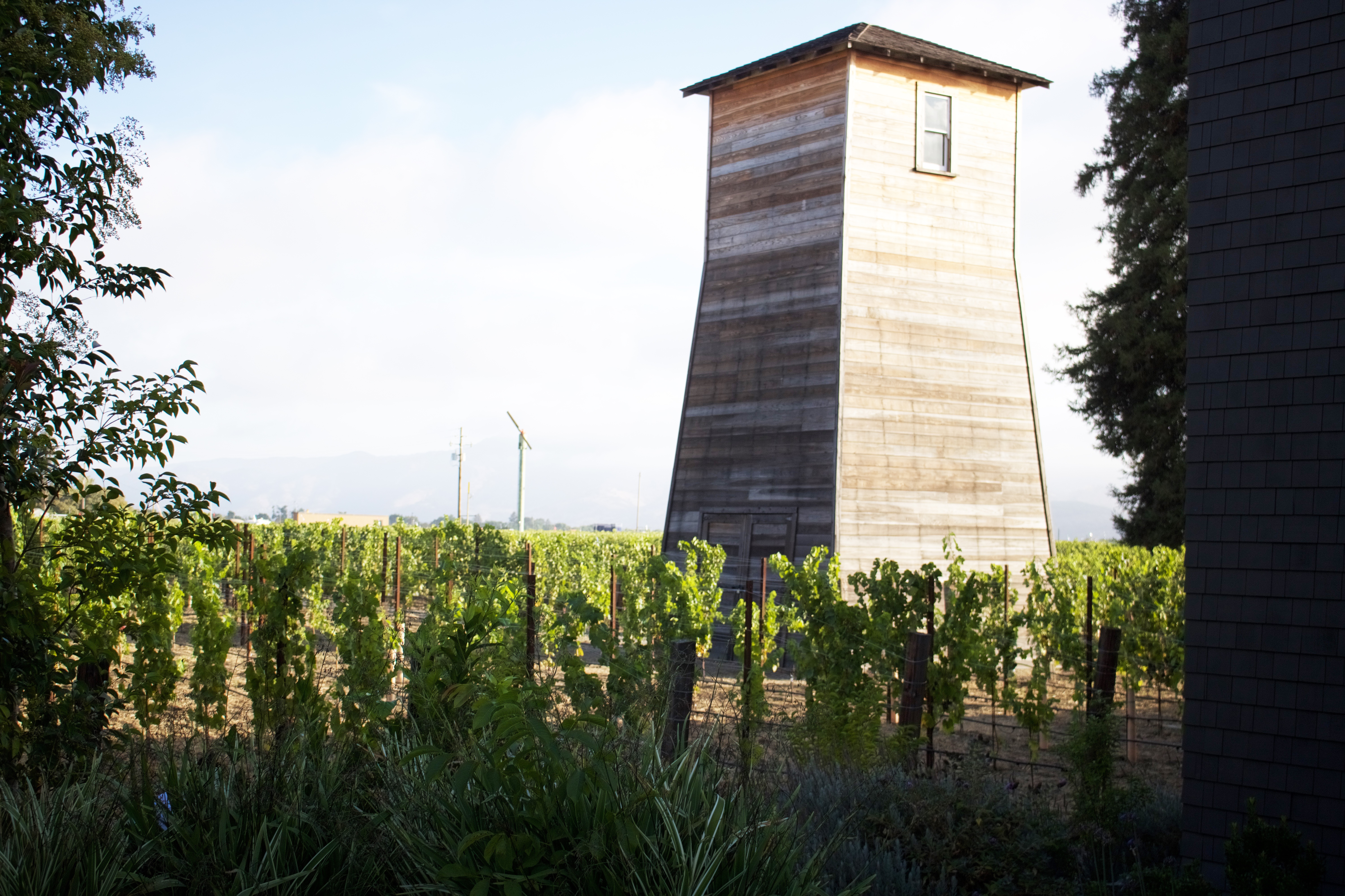 Weekend Guide To Napa Valley